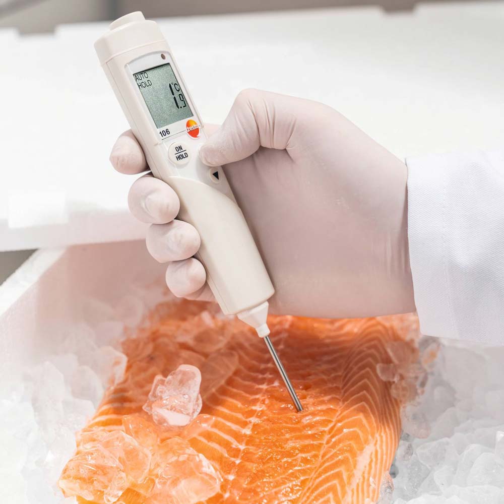 Thermometer Testo 106  mit Einstechfühler